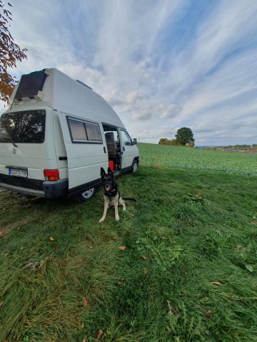 Vw T4 Camper